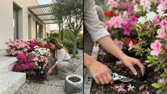 Il giardino delle 1.700 azalee: la lezione semplice che molti sottovalutano